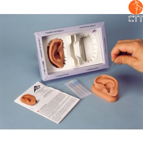 1 practice ears pair set (left and right), captivatingly realistic, made of high