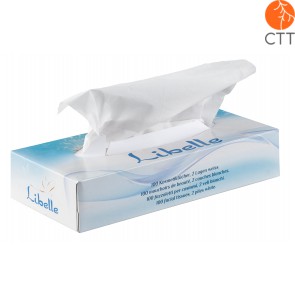 Cosmetic wipes, 1 box of 40 boxes of 100 wipes, top quality, 2-ply