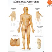 Poster (Anatomical Chart) Body acupuncture II