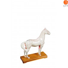 Horse model with acupuncture points