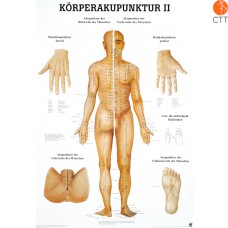 Poster (Anatomical Chart) Body acupuncture II