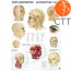 Poster (Anatomical Chart) Head
