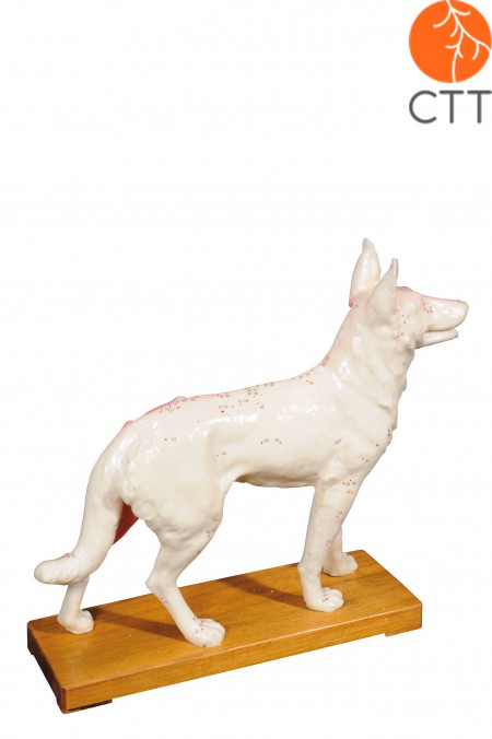 Hund Hartplastik, 31 x 28 x 8cm