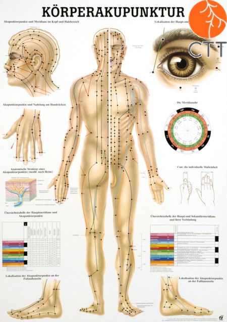 Poster Körperakupunktur Körper