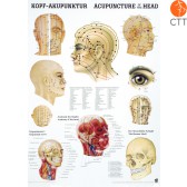 Poster Kopfakupunktur Kopf