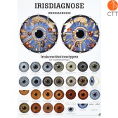 Poster IRIS-Diagnose, 50 x 70cm