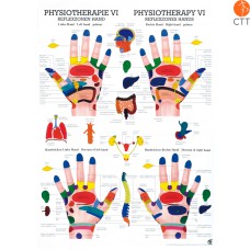 Poster Physiotherapie VI