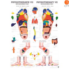 Poster Physiotherapie VII