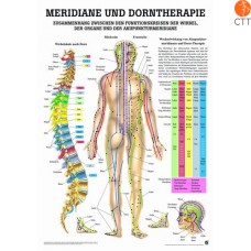 Meridiane und Dorntherapie, Lehrtafel 70 x 100cm
