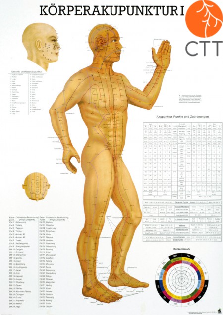 Acupuncture du Corps I, 70 x 100 cm Planche d´enseignement plastifié