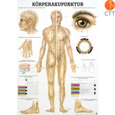Tableau d'enseignement pour l'acupuncture corporelle, en papier, avec barres métalliques, 70 x 100cm